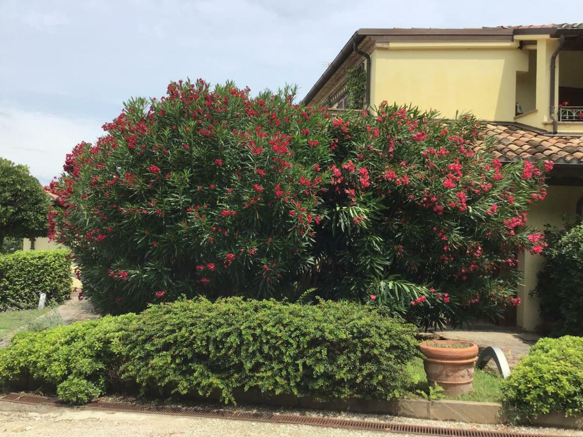 Residence Baia Vallugola Castel di Mezzo Luaran gambar